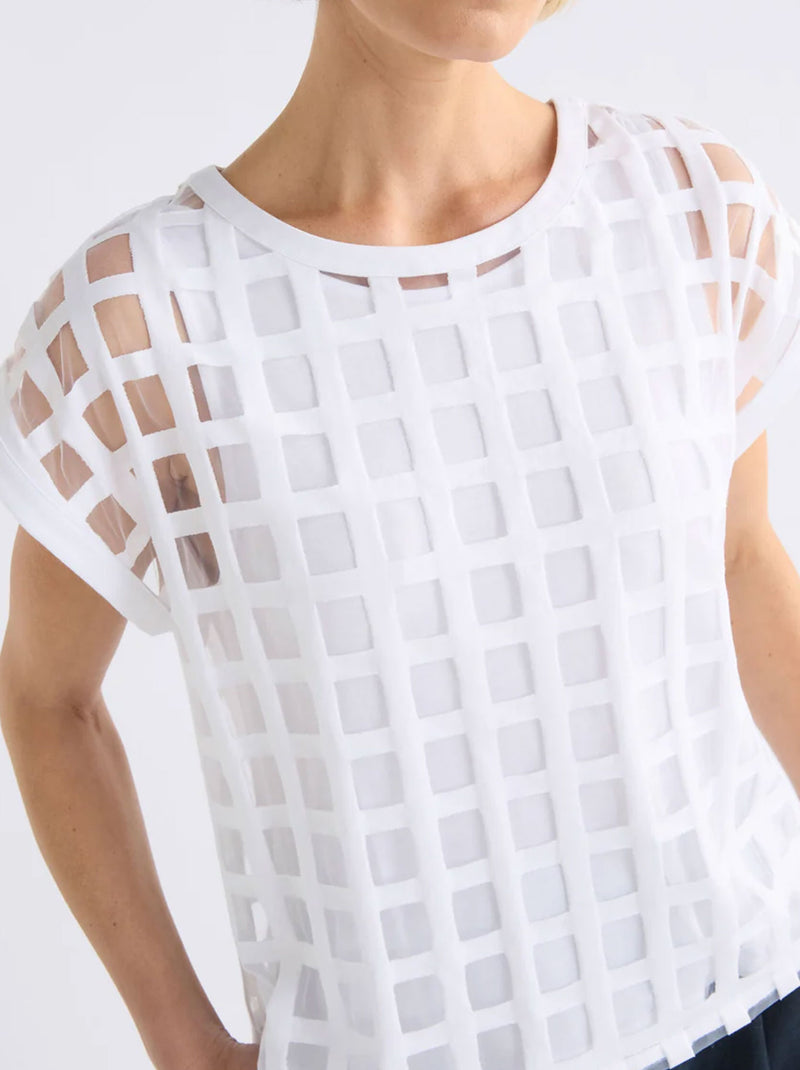ELK GRID BURNOUT TOP