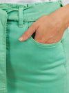 ELM CLIO DENIM SKIRT