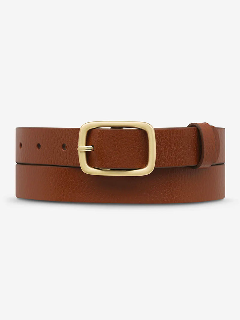 STATUS ANXIETY NOBODY'S FAULT BELT