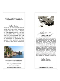 THE ARTISTS LABEL LAKE COMO SCARF